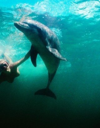Голые девушки под водой (84 фото) - секс и порно